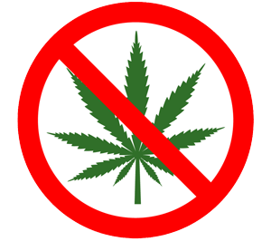 kein Cannabis / kein THC
